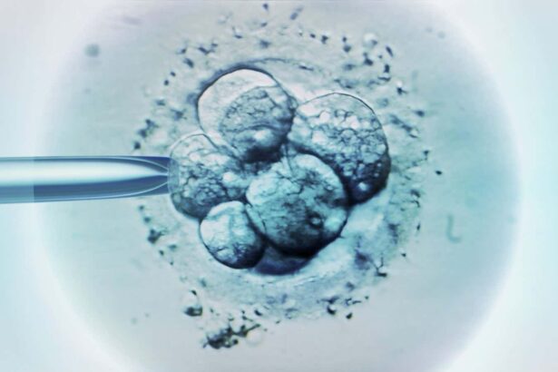 Babies made using three people’s DNA are free of hereditary disease