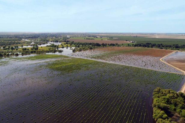 Best Practices for Just Land Transitions in California