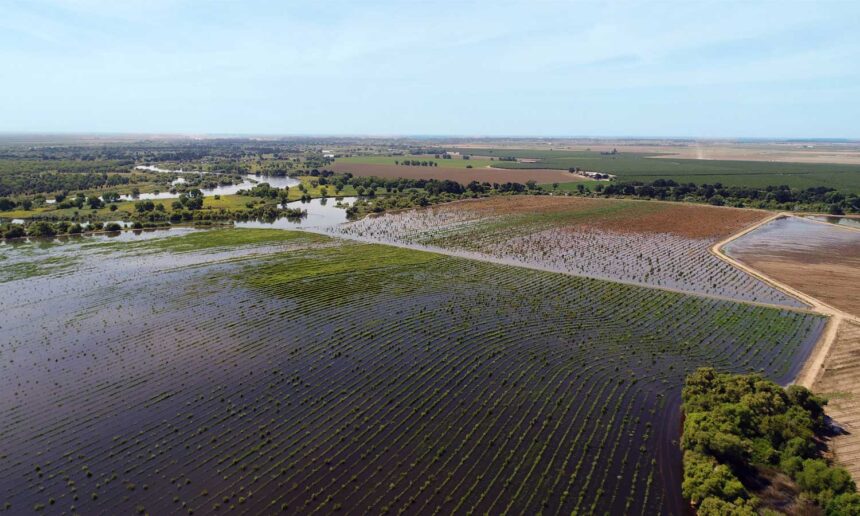 Best Practices for Just Land Transitions in California
