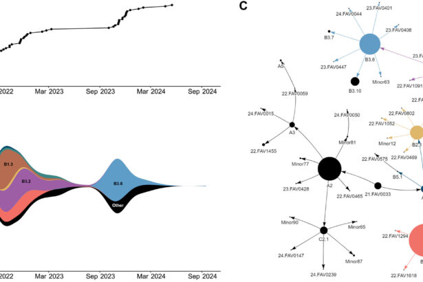 Bird flu found to evolve rapidly, infecting more hosts and finding ways to spread more effectively