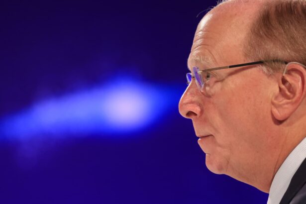 BlackRock keeps its foot on the private-markets pedal with another acquisition