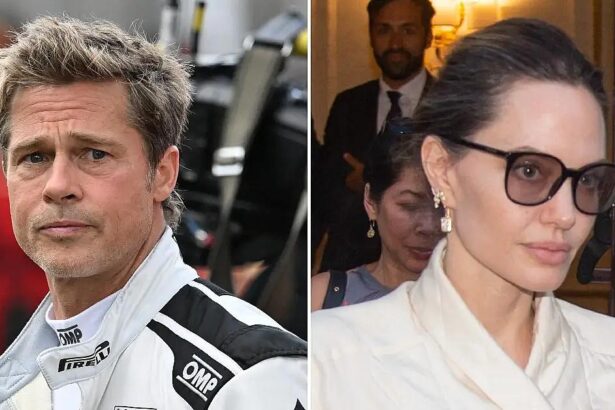 Brad PItt ‘Planning To Bankrupt Angelina Jolie’