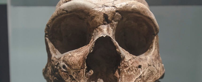 Brain Abnormality in Modern Humans Linked to Ancient Neanderthal DNA : ScienceAlert