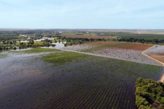 Buenas prácticas para una transición de tierra justa en California