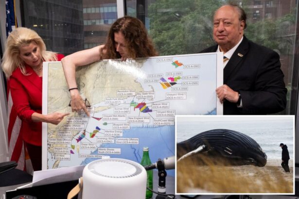 Businesses, environmentalists fight to stop NY’s Empire Wind One offshore wind project