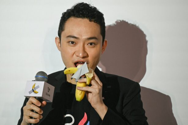 Buyer of Maurizio Cattelan Banana Invests 0M in Trump Crypto