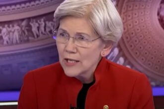 CNBC Hosts Ridicule Elizabeth Warren’s Fearmongering Over the Trump Economy (VIDEO) |