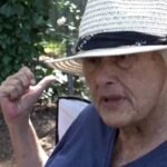 California senior dropped by her insurer went from paying ,100 to nearly ,000 under ‘last resort’ plan