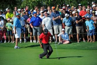Can You Play Golf With A Bad Back? A Neurosurgeon’s Practical Guide