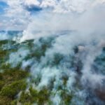 Carbon-offset schemes aren’t prepared for forests to burn