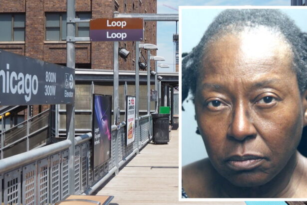 Charges filed in ‘savage and random’ stabbing on CTA platform
