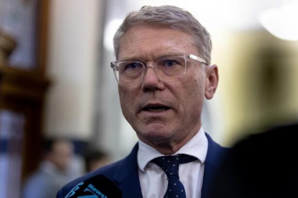 Citizens arrest changes unlikely to improve safety: ministry