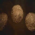 Climate Change’s Fingerprints Came Early, a Thought Experiment Reveals