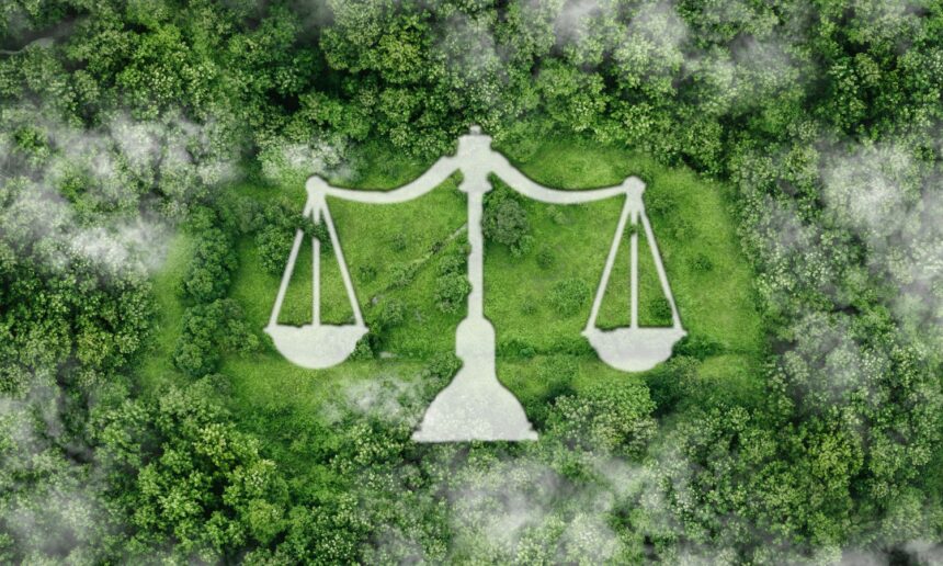 Climate Lawsuits Are Rising as Political Pushback Intensifies 