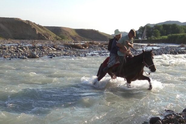 Climate tipping point warning from ‘Great Dying’