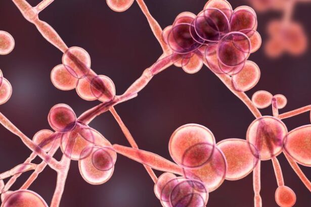 Common Blood Protein Turns Yeast Infections Into Potential Killers : ScienceAlert