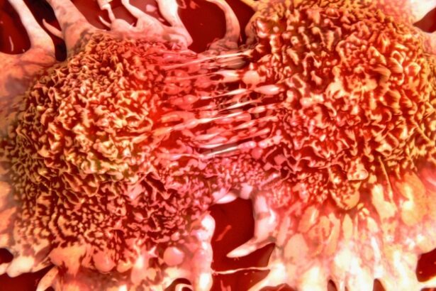 Common Viruses May Wake Dormant Breast Cancer Cells, Study Finds : ScienceAlert
