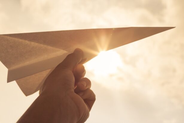 Could a Paper Plane Thrown From The International Space Station Survive The Flight? : ScienceAlert