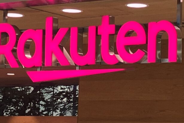 Credit card startup Imprint beats big banks for Rakuten co-brand deal