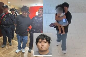 Creep with violent past caught abducting girl, 3, from mall: video