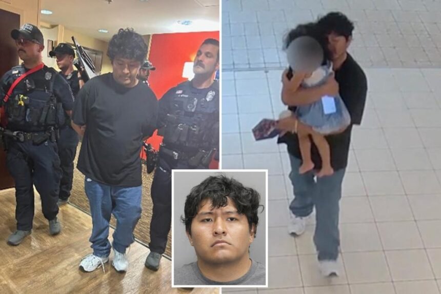Creep with violent past caught abducting girl, 3, from mall: video