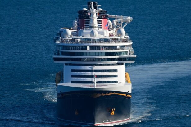 Dad Jumps Overboard To Save Young Daughter Who Fell From Fourth Deck Of Disney Cruise