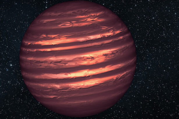 Dark Matter Search Could Lead Us to a New Kind of Star : ScienceAlert