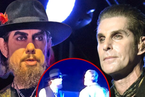 Dave Navarro Sues Perry Farrell For Assault, Battery After Onstage Fight