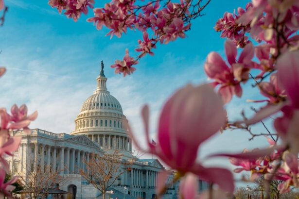 Democrat Resolution to Release Epstein Files Fails in Congress