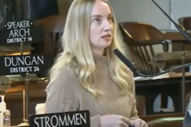 Democrat State Senator From Nebraska Defends Illegal Alien and Accused Murderer, Calling ICE the ‘Gestapo’ |