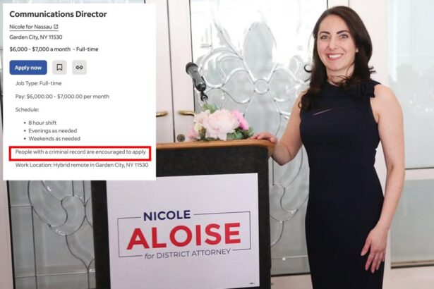 Democrat running for NY district attorney ‘encourages’ criminals to apply for job on staff