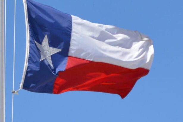 Democrats To Send An Army Of 30,000 Volunteers To Texas To Fight Gerrymander