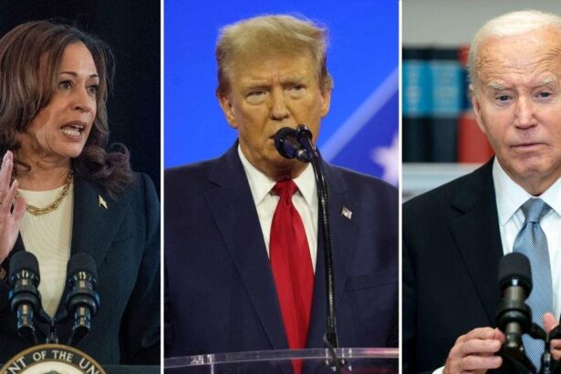 Democrats Urge Supporters to ‘Get More Violent’ in Trump Resistance