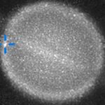 Did something just hit Saturn? Astronomers are racing to find out