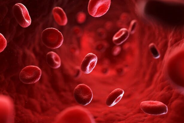 Doctors Discover New Blood Type—And Only One Person Has It