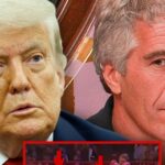 Donald Trump and Jeffrey Epstein Sit Ringside in Unearthed 1997 Video