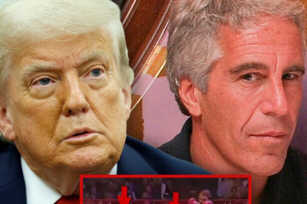 Donald Trump and Jeffrey Epstein Sit Ringside in Unearthed 1997 Video