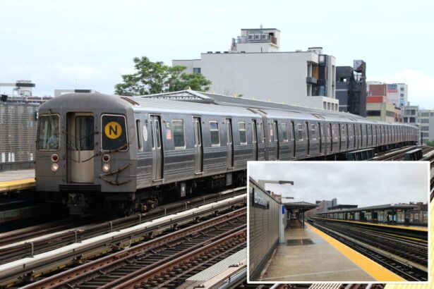 Dreadlocked joyrider, 18, who took MTA train on one-stop spin is a repeat transit offender: NYPD