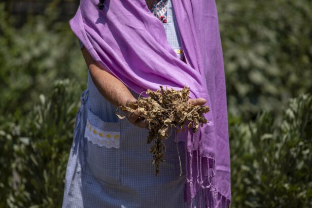 Drought is draining water supplies and driving up food costs where you’d least expect