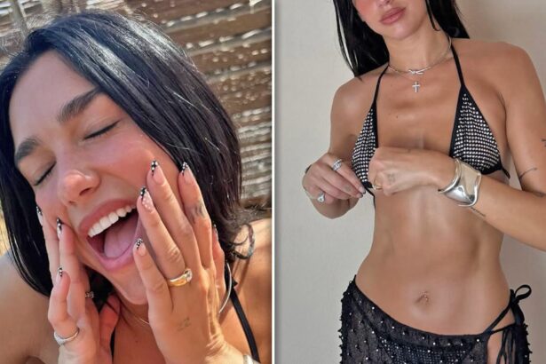 Dua Lipa Soaks Up Sun in Tiny Silver Bikini on Vacation