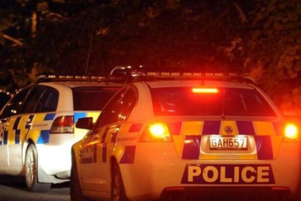 Dunedin driver clocked at 142kmh in bid to beat supermarket closing time