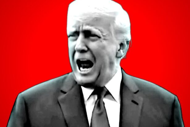 EU Globalists CAVE to Trump Administration, and Scrap Plans for Tax on US Digital Companies |