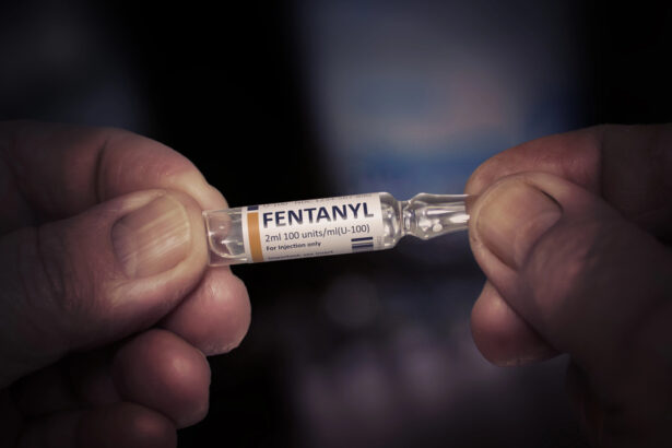 EconLog Price Theory: Fentanyl – Econlib