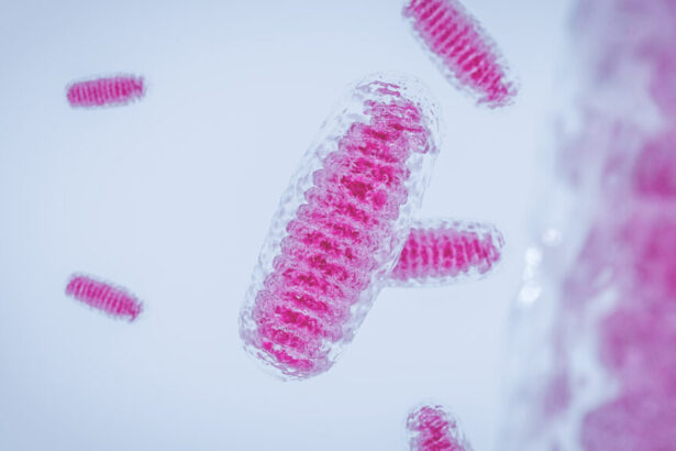 Eight healthy babies born in U.K. using ‘three-parent IVF’