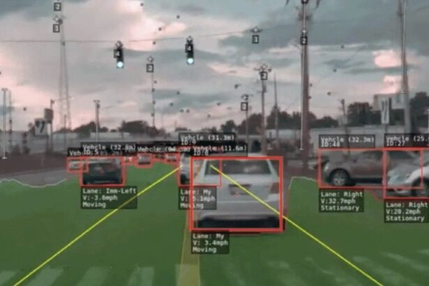 Elon’s End Game Is Going Live — And It Could Make You a Fortune |