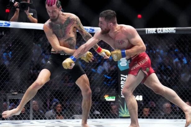 Endeavor Streaming, Which Powers UFC Fight Pass, Sold to Deltatre