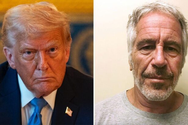 Epstein Accuser Claims She Met Trump in Evil Sicko’s Office