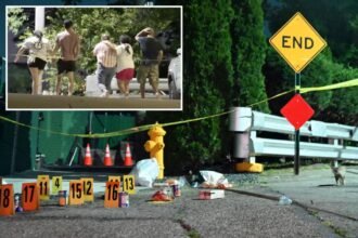 Estranged husband fatally guns down wife’s new beau in NYC burst of violence: cops