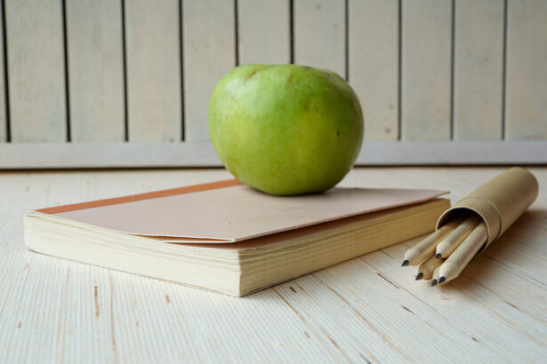 Everything Your Child Needs for a Waste-Free School Year