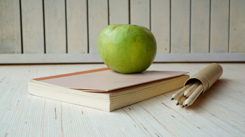Everything Your Child Needs for a Waste-Free School Year